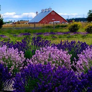 Meet your Posher, Jan